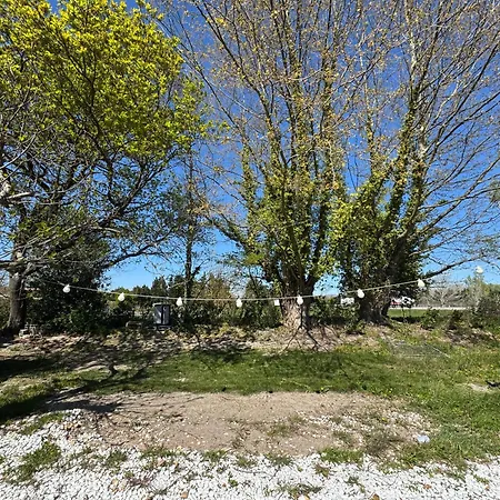 Le Petit Provencal Nimes